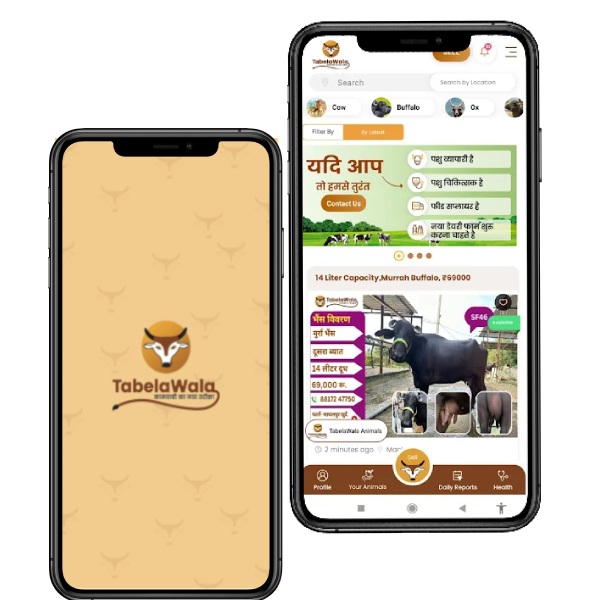 Download TabelaWala App