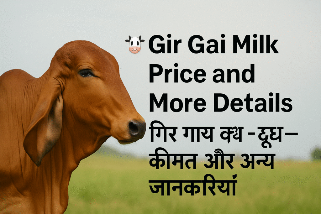 Gir Gai Milk Price in India